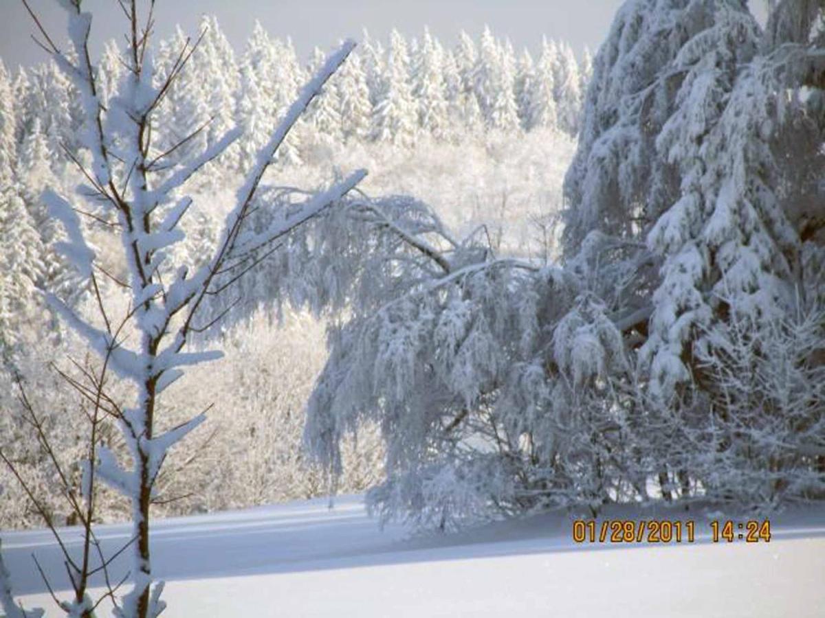 Ferienhaus Ferien Am Waldrand Altenberg  Esterno foto