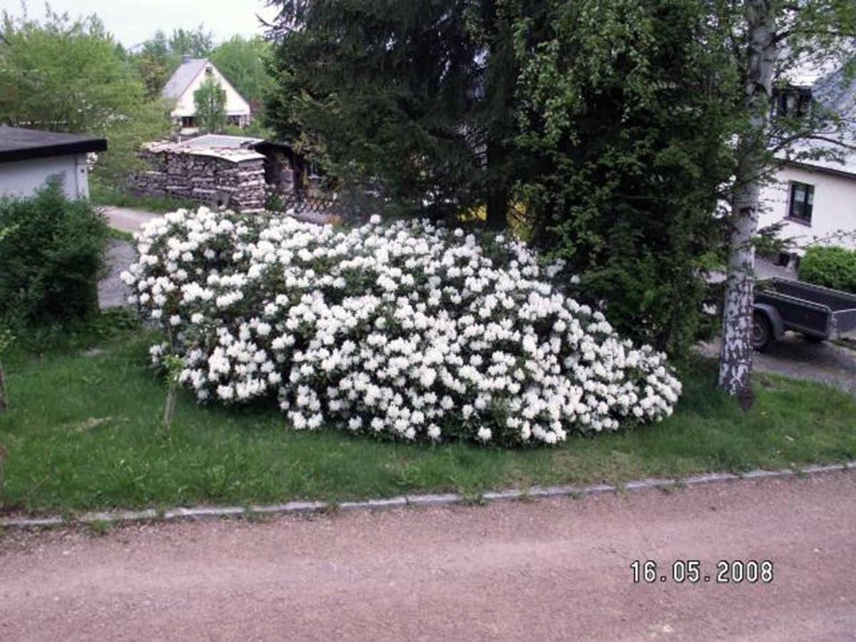 Ferienhaus Ferien Am Waldrand Altenberg  Esterno foto